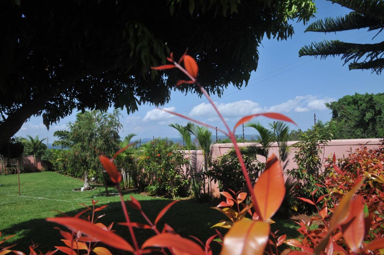 Victoria Lake View Guesthouse & Safaris เอนเทบเบ้ ภายนอก รูปภาพ