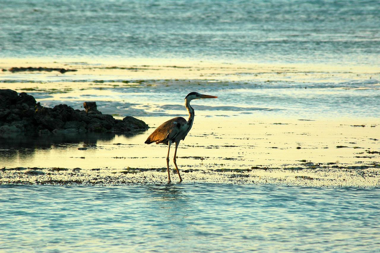 Victoria Lake View Guesthouse & Safaris เอนเทบเบ้ ภายนอก รูปภาพ