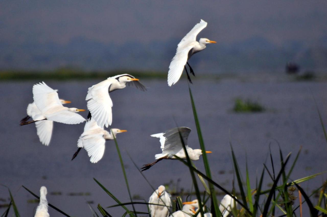 Victoria Lake View Guesthouse & Safaris เอนเทบเบ้ ภายนอก รูปภาพ