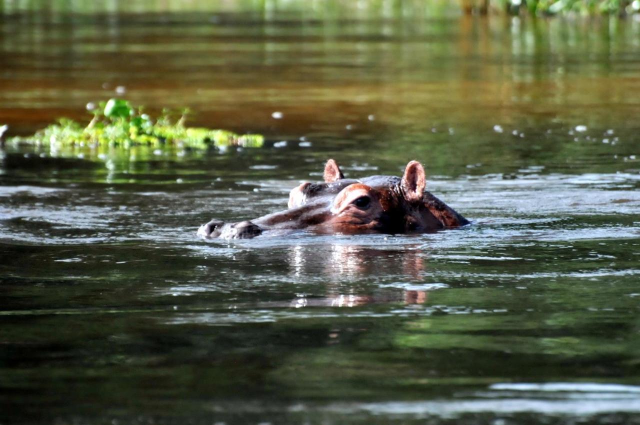 Victoria Lake View Guesthouse & Safaris เอนเทบเบ้ ภายนอก รูปภาพ