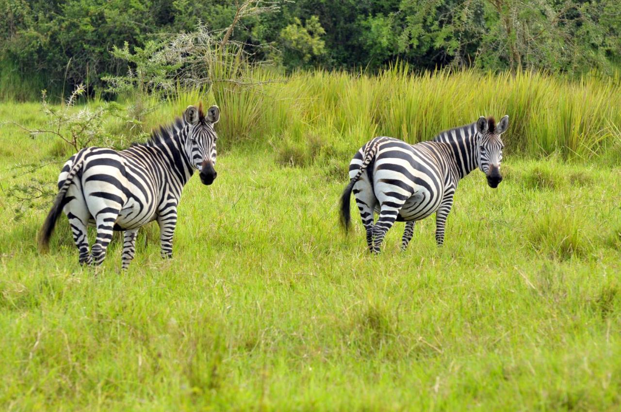 Victoria Lake View Guesthouse & Safaris เอนเทบเบ้ ภายนอก รูปภาพ