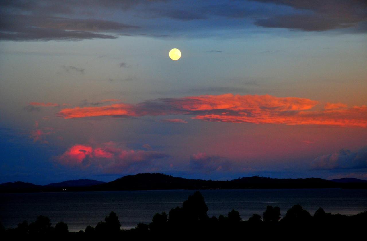 Victoria Lake View Guesthouse & Safaris เอนเทบเบ้ ภายนอก รูปภาพ