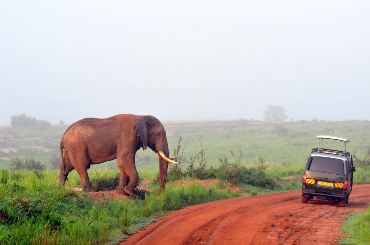 Victoria Lake View Guesthouse & Safaris เอนเทบเบ้ ภายนอก รูปภาพ
